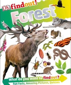DK FIND OUT!-FOREST